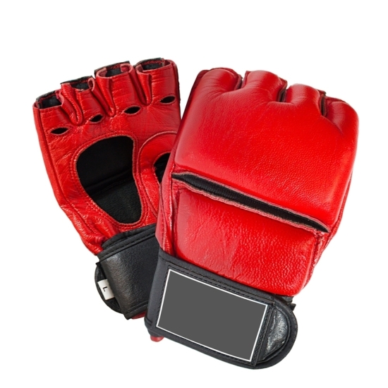 MMA Gloves